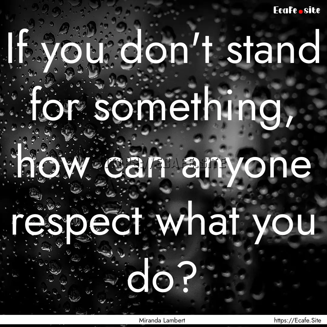 If you don't stand for something, how can.... : Quote by Miranda Lambert