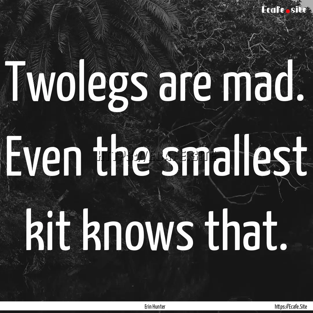 Twolegs are mad. Even the smallest kit knows.... : Quote by Erin Hunter