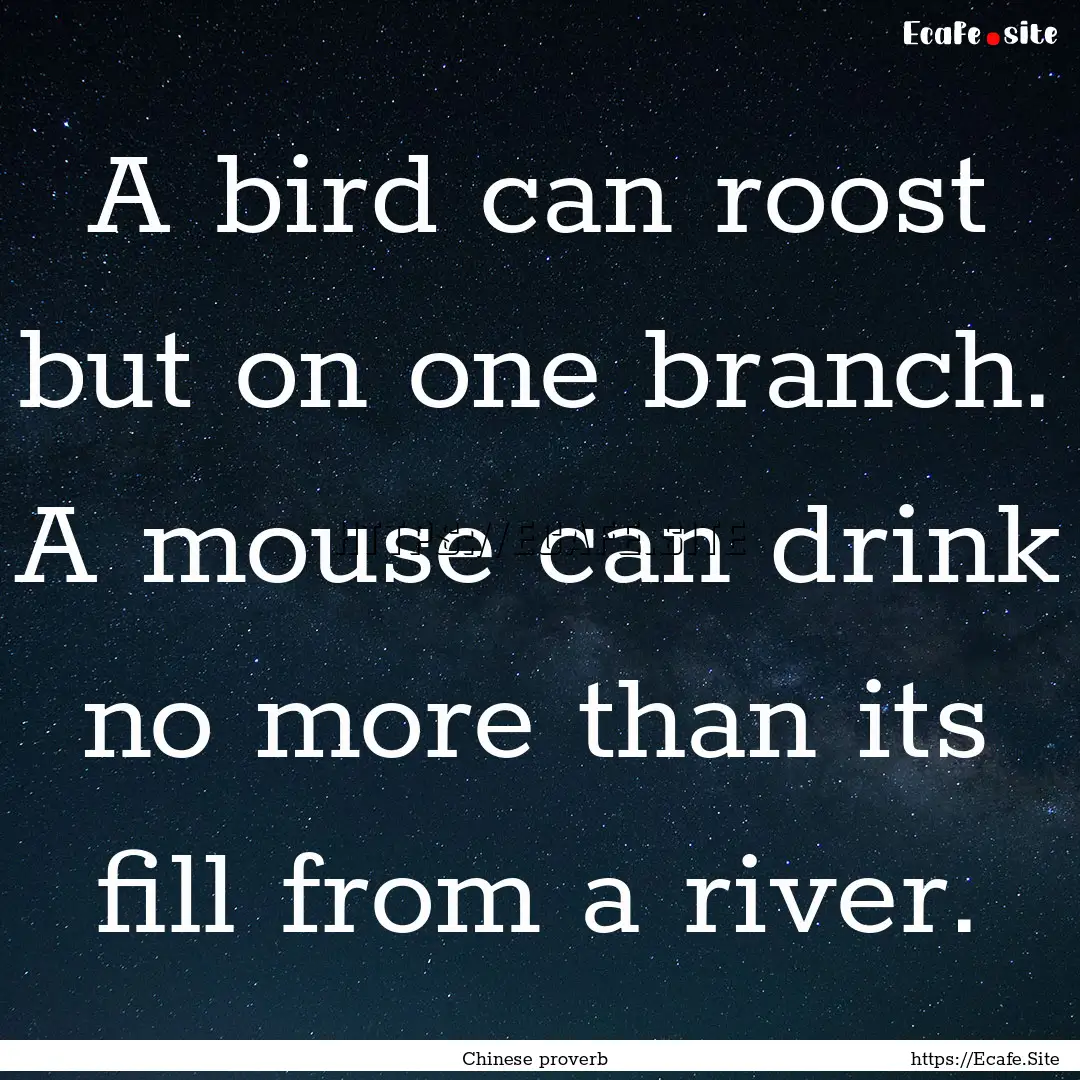 A bird can roost but on one branch. A mouse.... : Quote by Chinese proverb