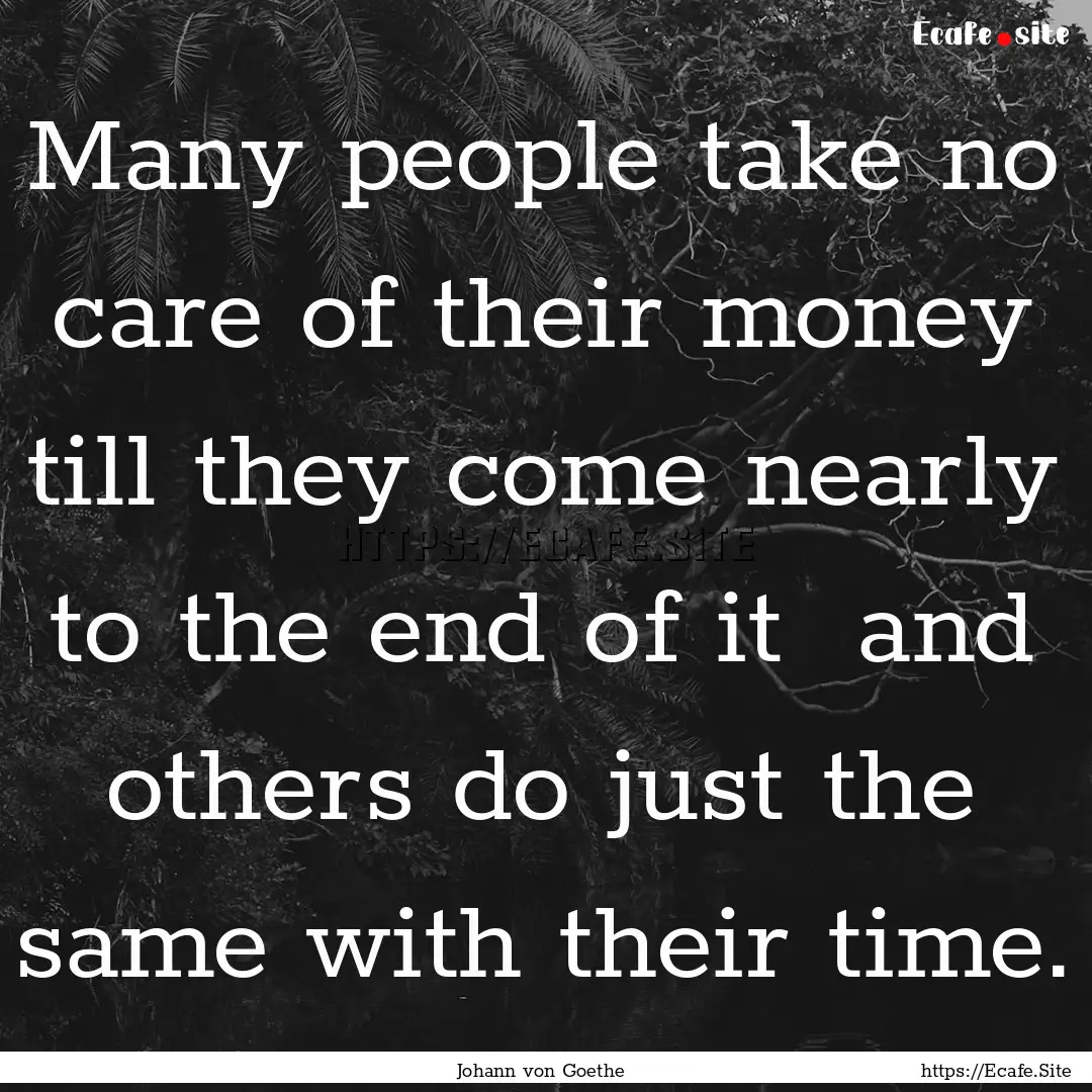 Many people take no care of their money till.... : Quote by Johann von Goethe