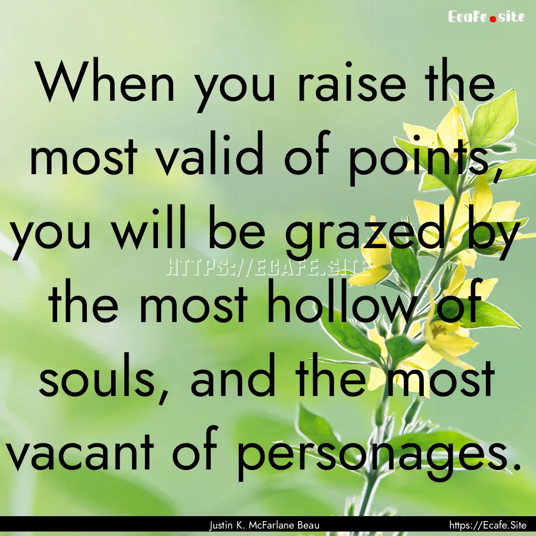 When you raise the most valid of points,.... : Quote by Justin K. McFarlane Beau