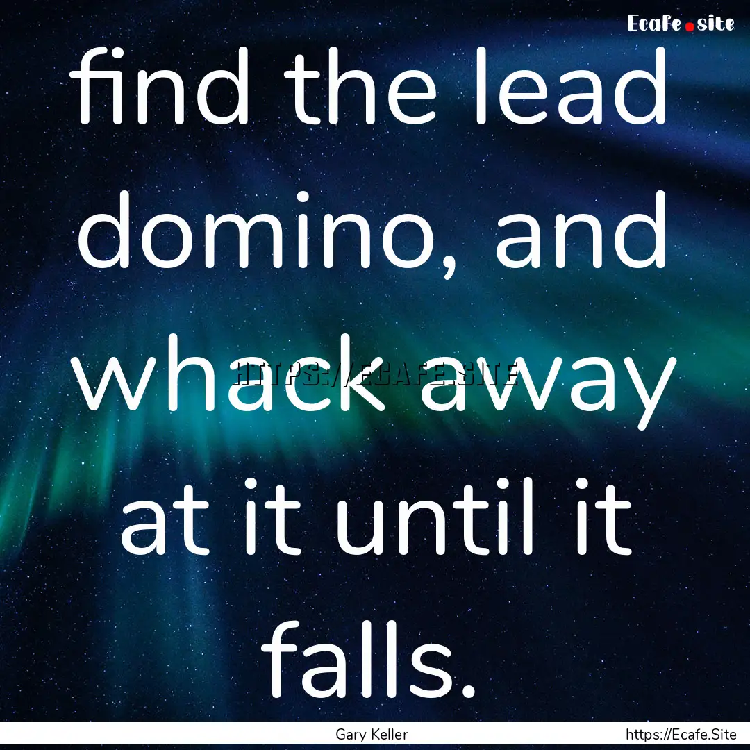 find the lead domino, and whack away at it.... : Quote by Gary Keller