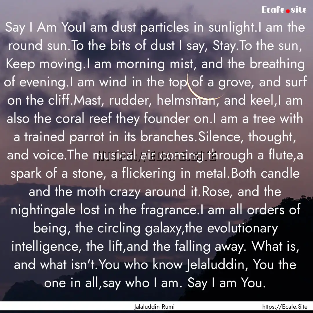 Say I Am YouI am dust particles in sunlight.I.... : Quote by Jalaluddin Rumi