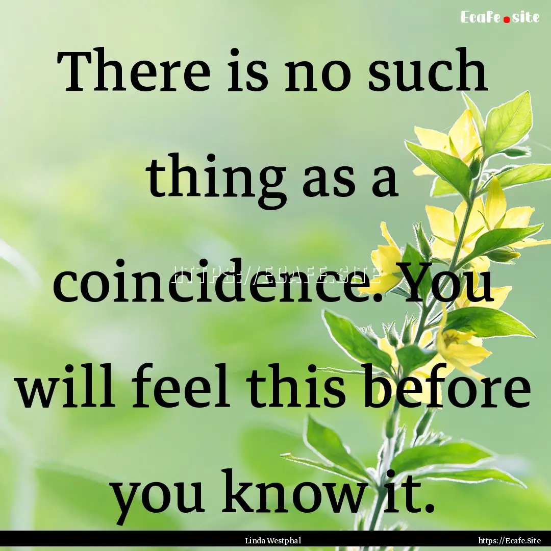 There is no such thing as a coincidence..... : Quote by Linda Westphal