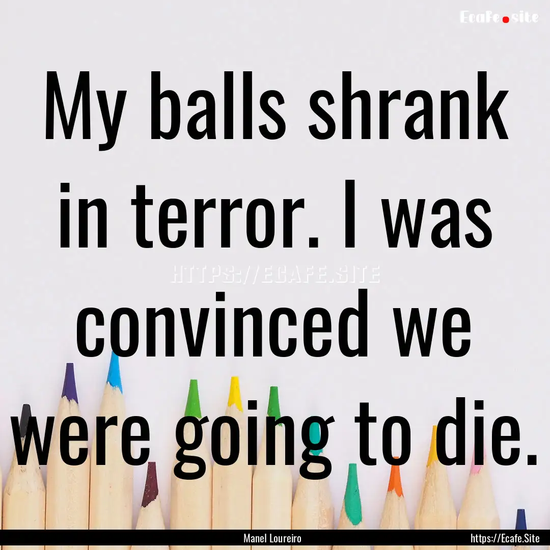 My balls shrank in terror. I was convinced.... : Quote by Manel Loureiro