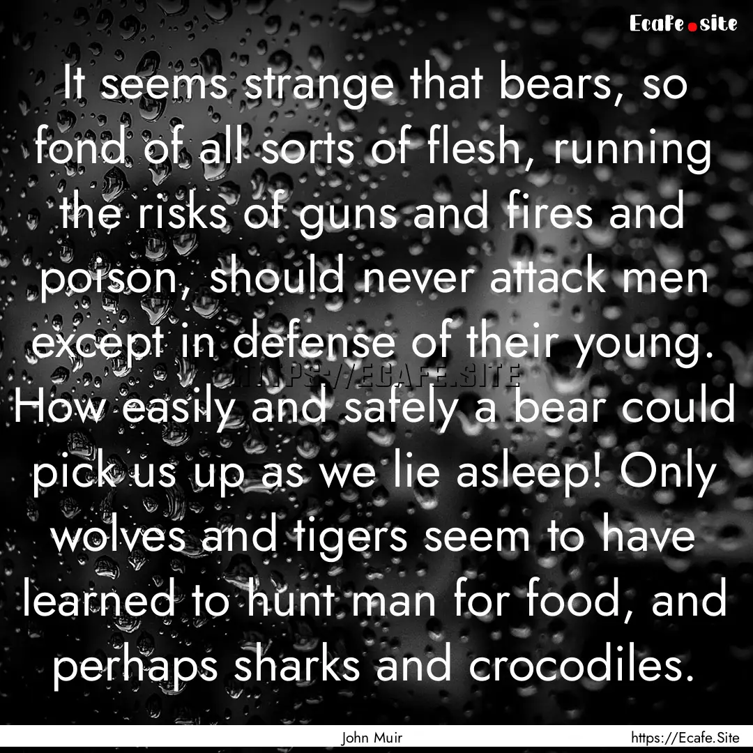 It seems strange that bears, so fond of all.... : Quote by John Muir