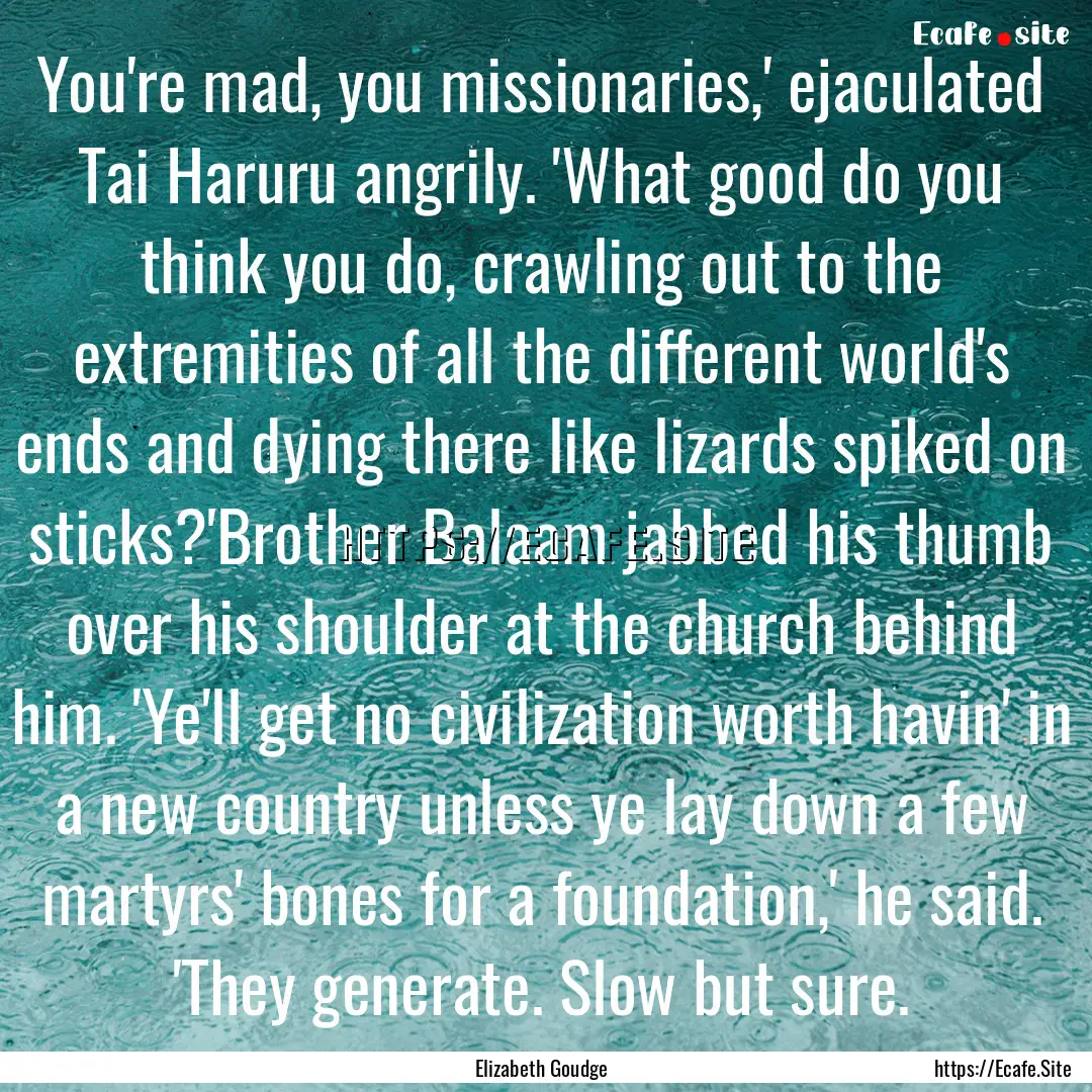 You're mad, you missionaries,' ejaculated.... : Quote by Elizabeth Goudge