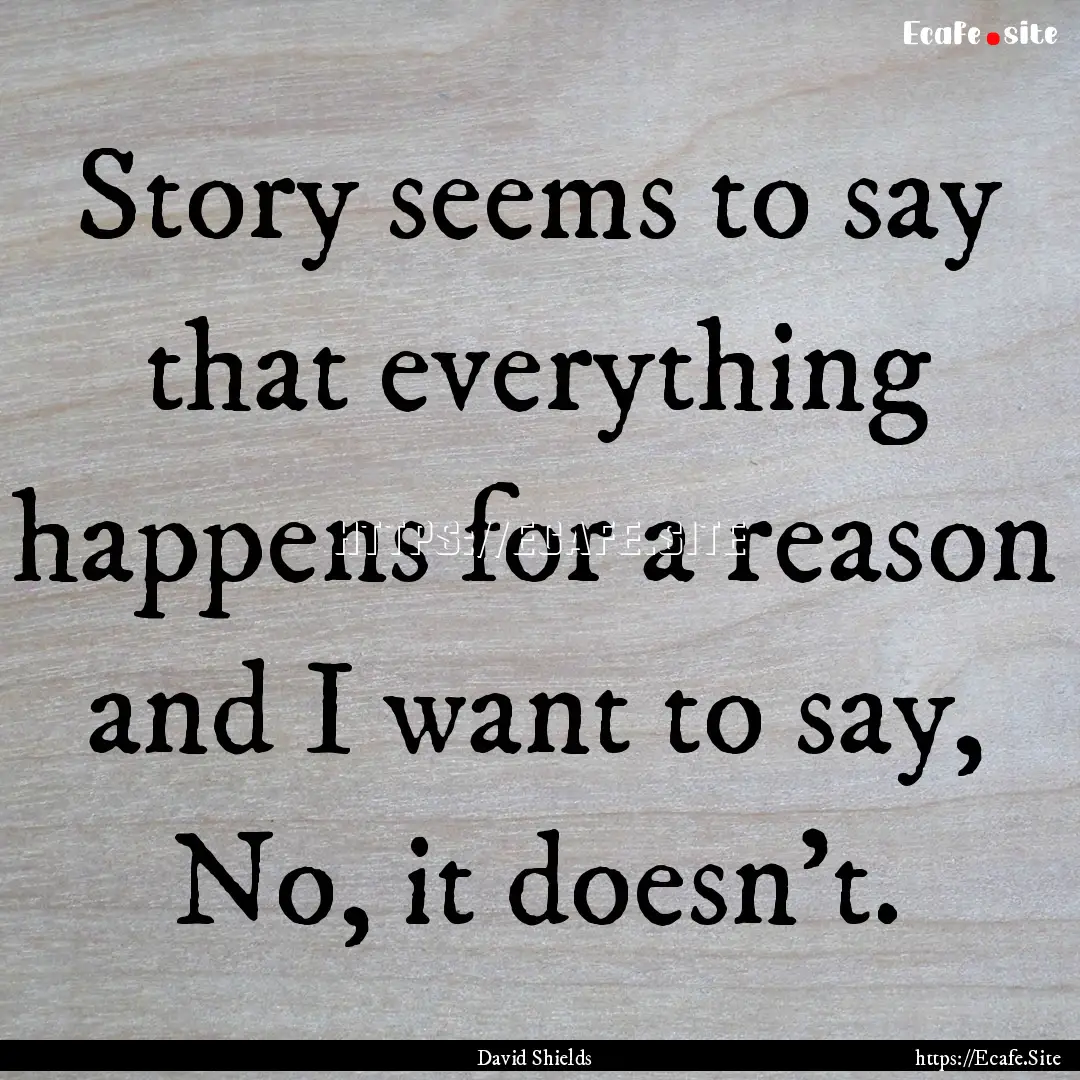 Story seems to say that everything happens.... : Quote by David Shields