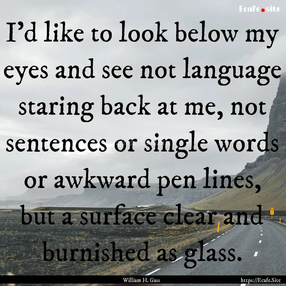 I'd like to look below my eyes and see not.... : Quote by William H. Gass