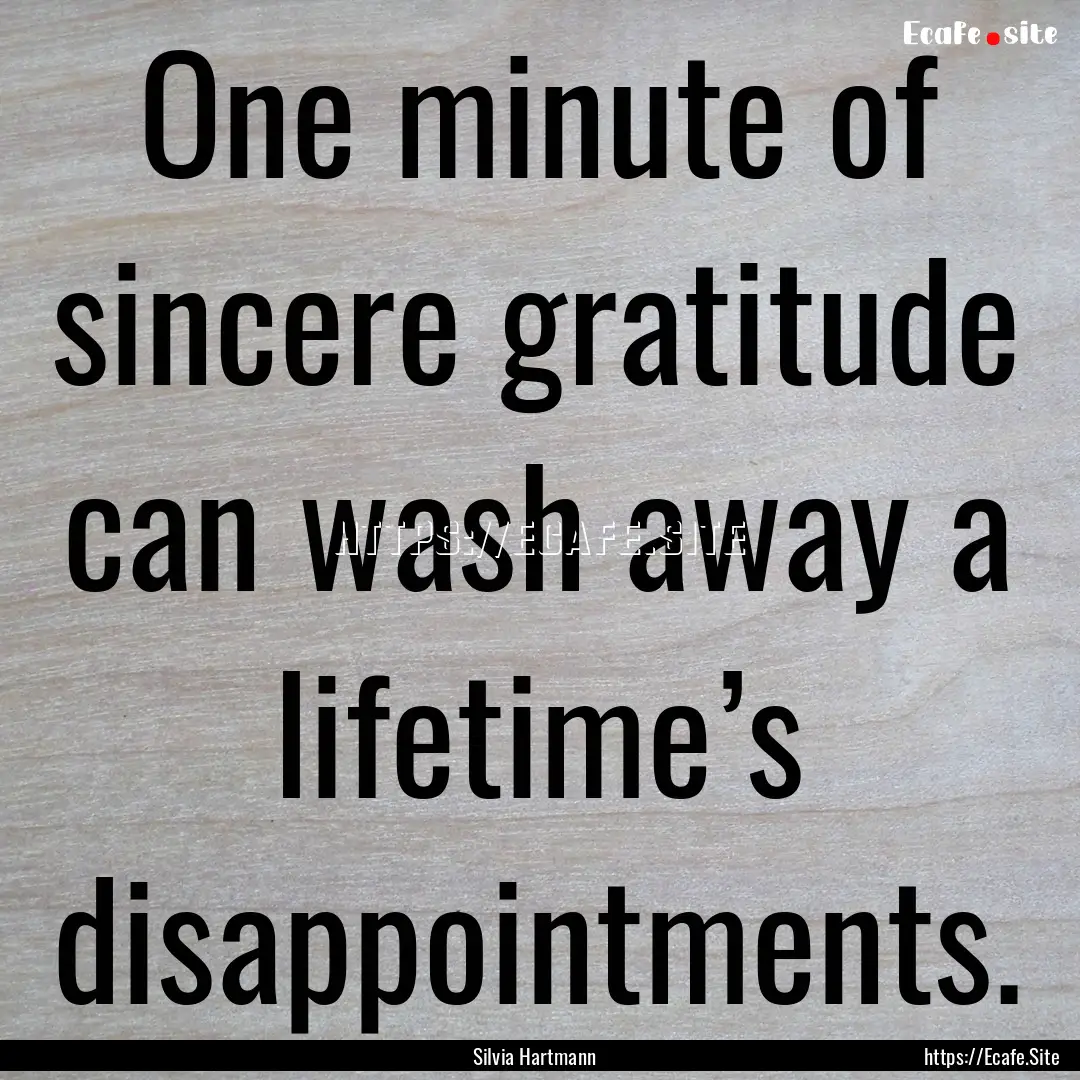 One minute of sincere gratitude can wash.... : Quote by Silvia Hartmann