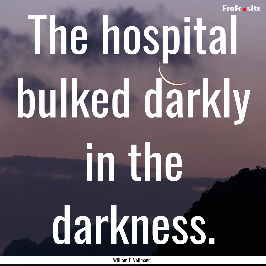 The hospital bulked darkly in the darkness..... : Quote by William T. Vollmann