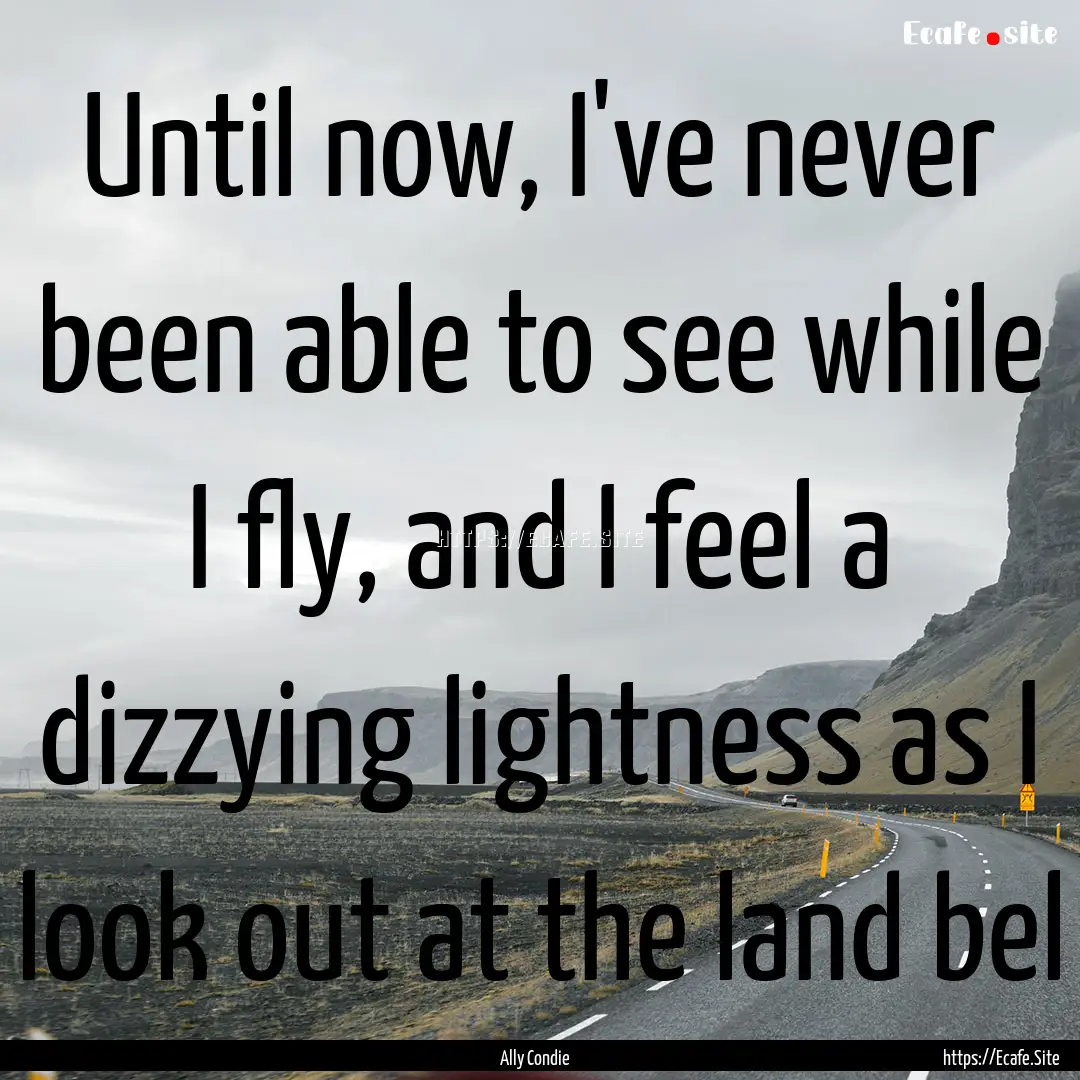 Until now, I've never been able to see while.... : Quote by Ally Condie