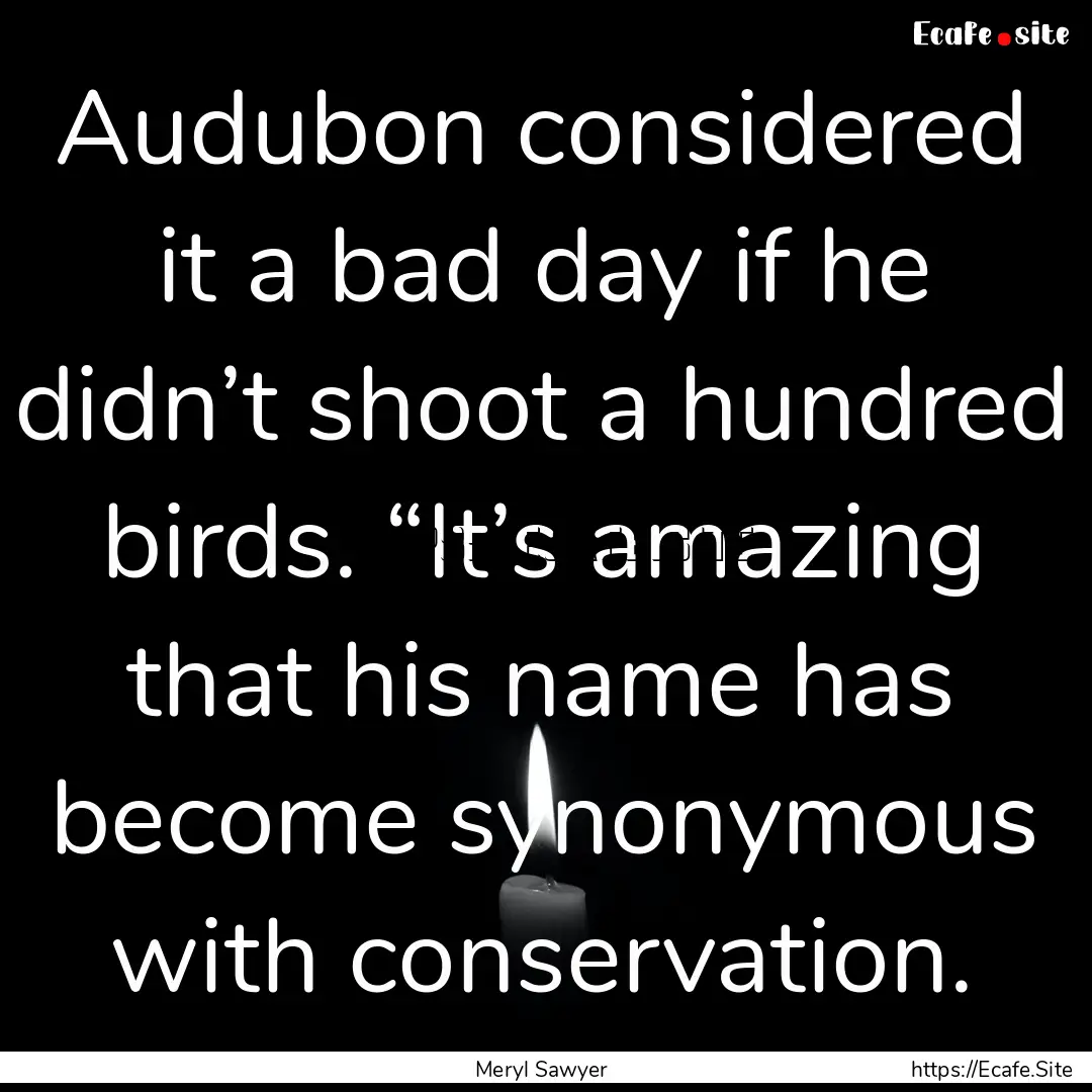 Audubon considered it a bad day if he didn’t.... : Quote by Meryl Sawyer