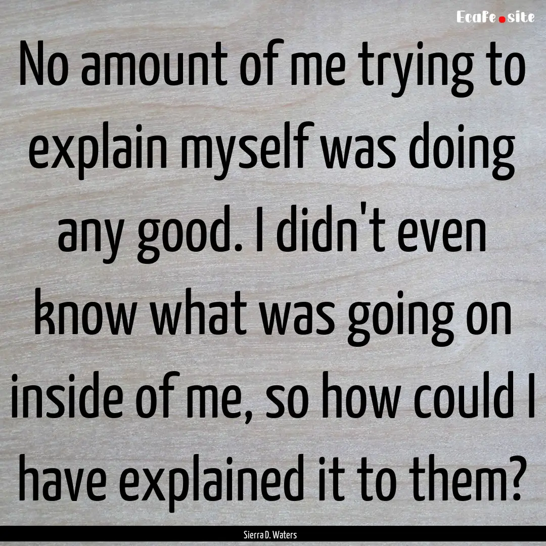 No amount of me trying to explain myself.... : Quote by Sierra D. Waters