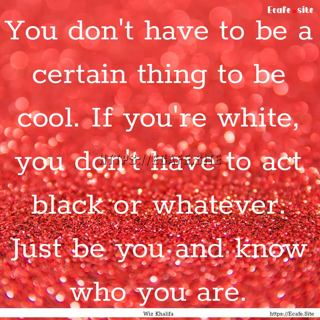 You don't have to be a certain thing to be.... : Quote by Wiz Khalifa