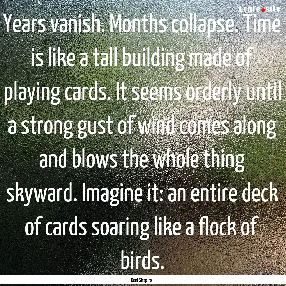 Years vanish. Months collapse. Time is like.... : Quote by Dani Shapiro