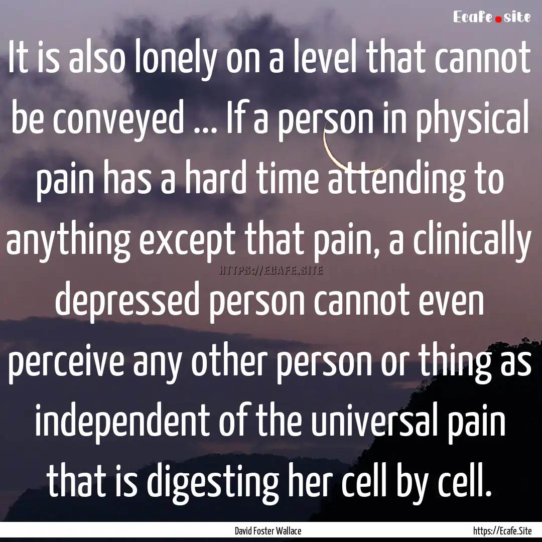 It is also lonely on a level that cannot.... : Quote by David Foster Wallace