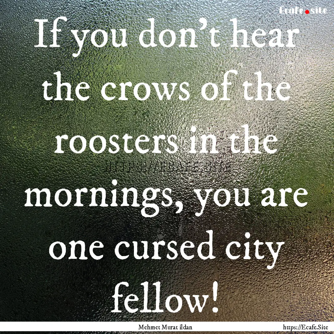 If you don’t hear the crows of the roosters.... : Quote by Mehmet Murat ildan