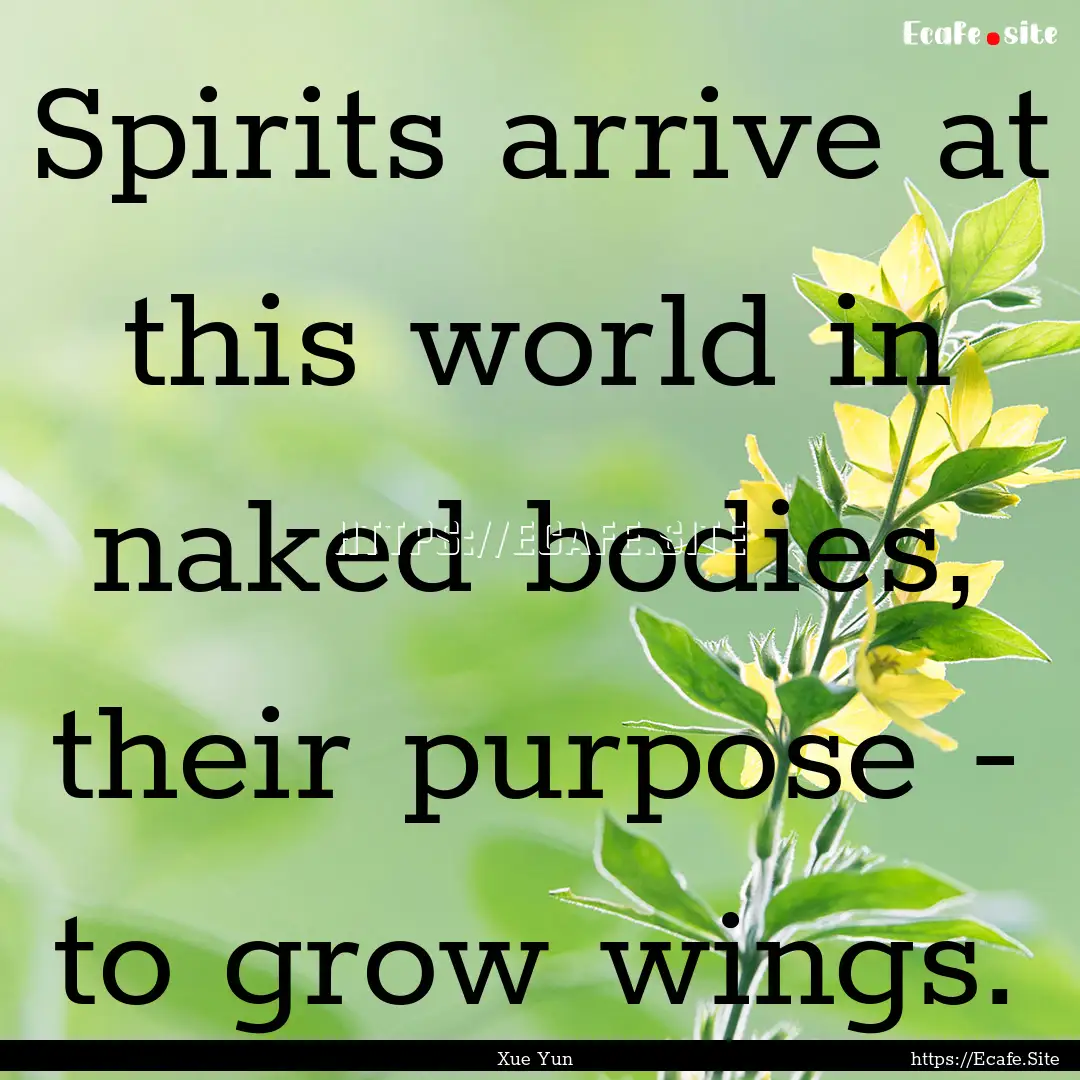 Spirits arrive at this world in naked bodies,.... : Quote by Xue Yun