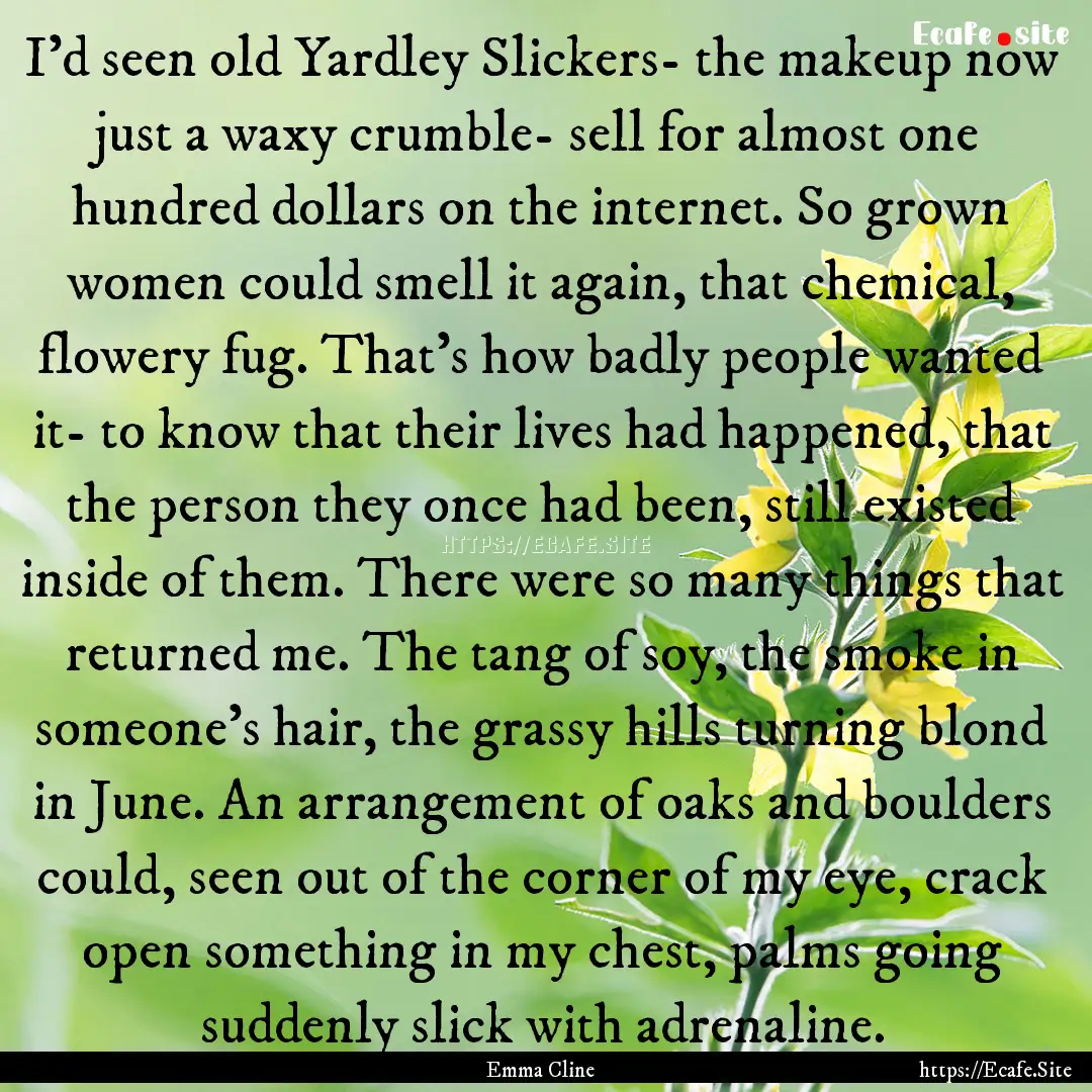 I'd seen old Yardley Slickers- the makeup.... : Quote by Emma Cline