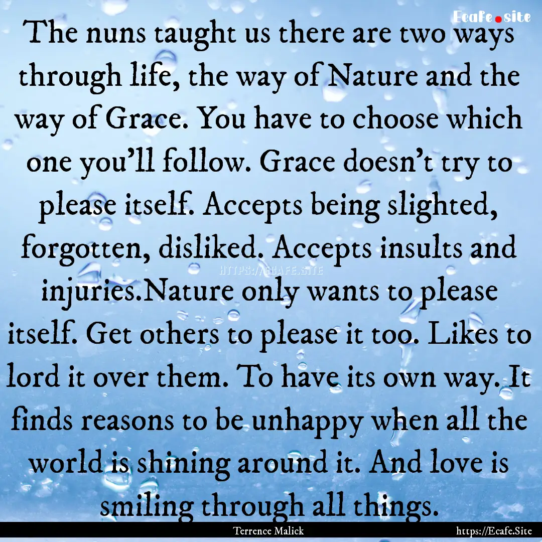 The nuns taught us there are two ways through.... : Quote by Terrence Malick