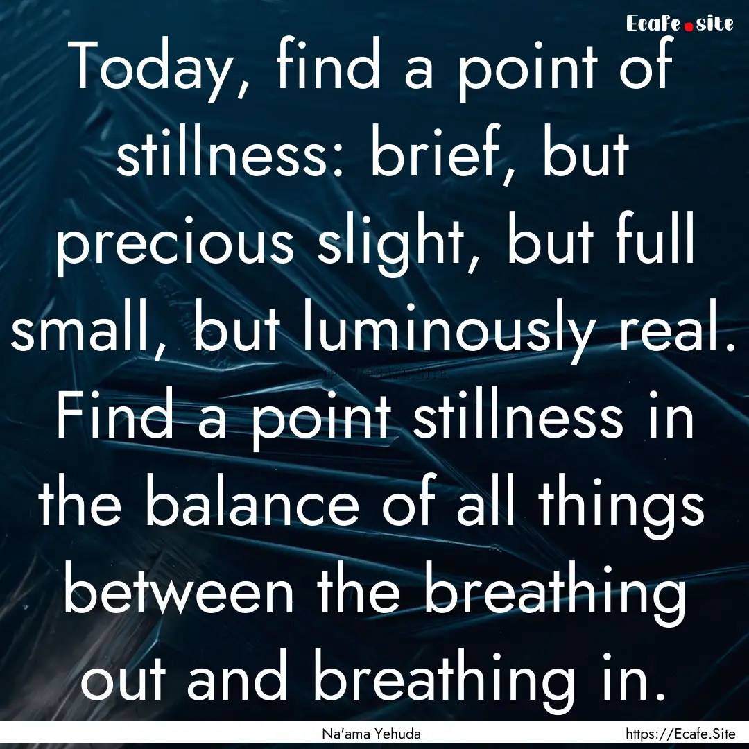 Today, find a point of stillness: brief,.... : Quote by Na'ama Yehuda