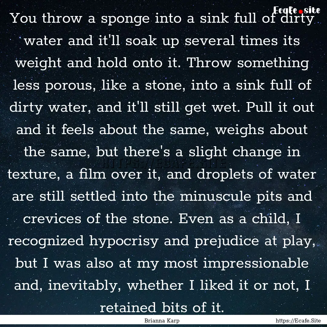 You throw a sponge into a sink full of dirty.... : Quote by Brianna Karp