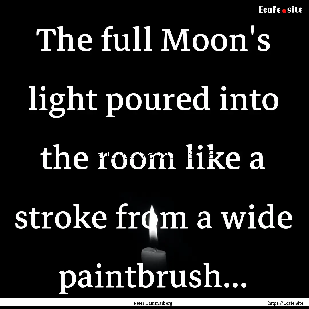 The full Moon's light poured into the room.... : Quote by Peter Hammarberg