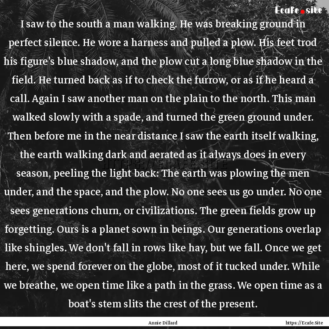 I saw to the south a man walking. He was.... : Quote by Annie Dillard