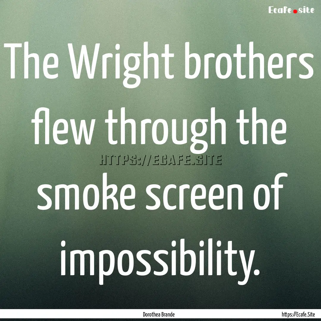 The Wright brothers flew through the smoke.... : Quote by Dorothea Brande