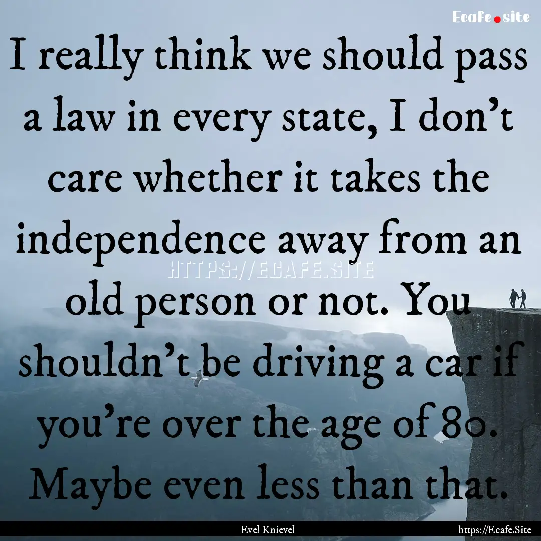 I really think we should pass a law in every.... : Quote by Evel Knievel