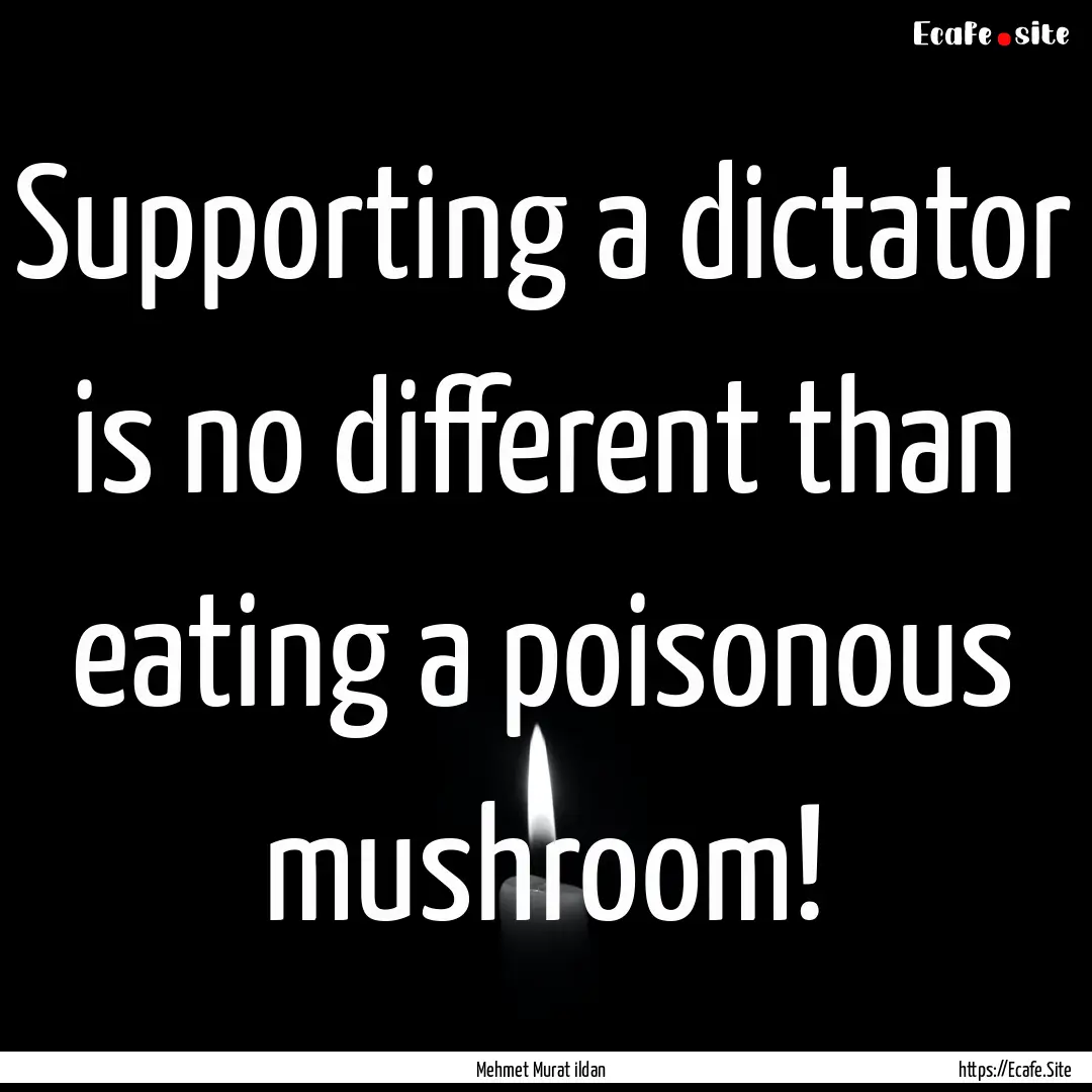 Supporting a dictator is no different than.... : Quote by Mehmet Murat ildan