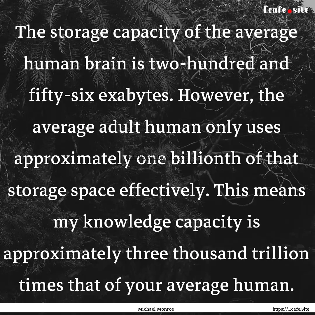 The storage capacity of the average human.... : Quote by Michael Monroe