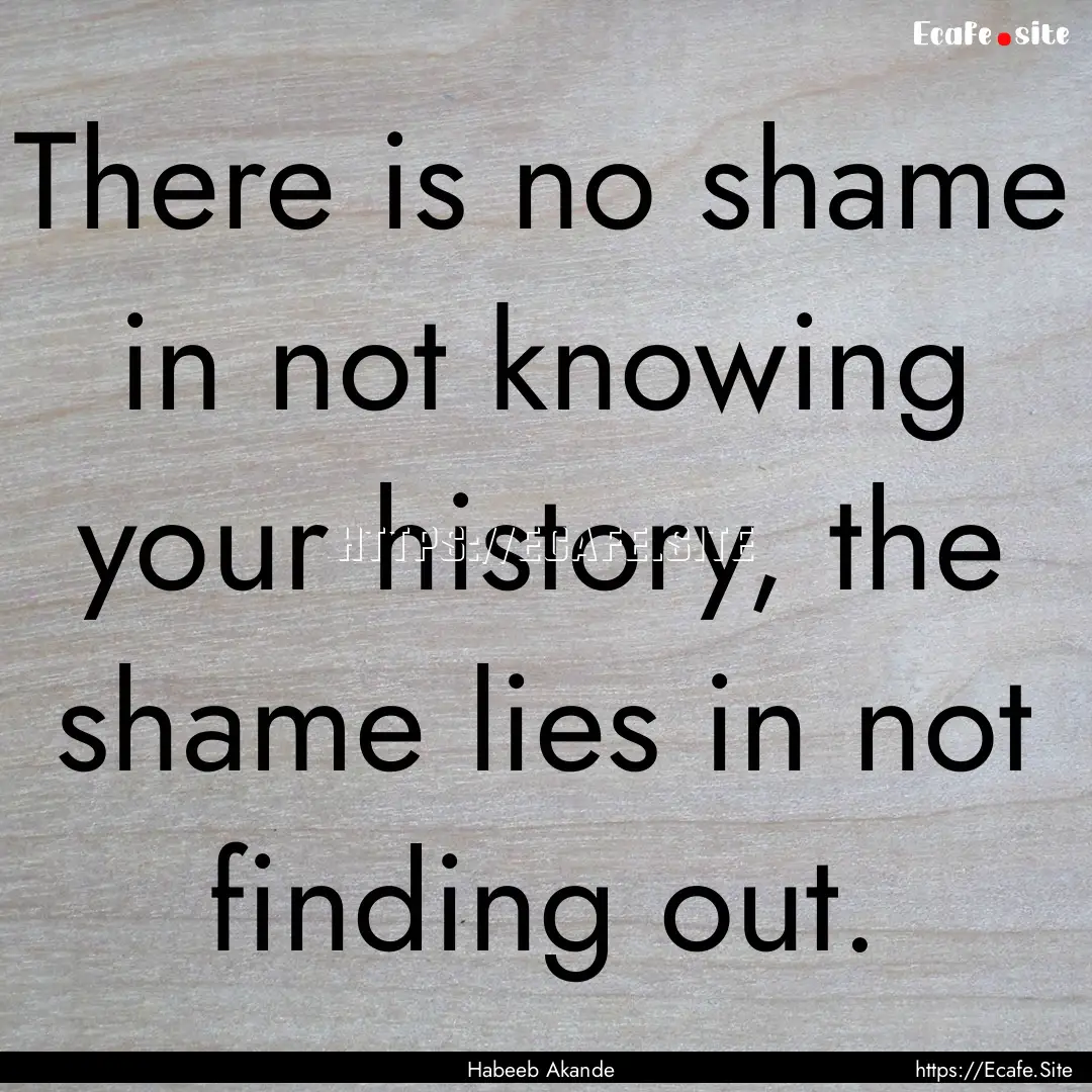 There is no shame in not knowing your history,.... : Quote by Habeeb Akande