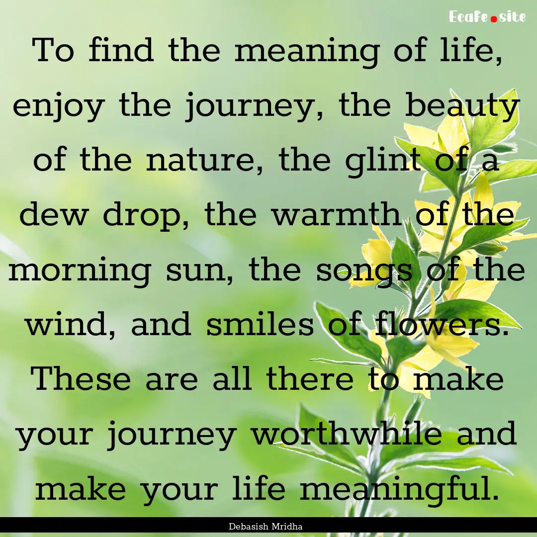 To find the meaning of life, enjoy the journey,.... : Quote by Debasish Mridha