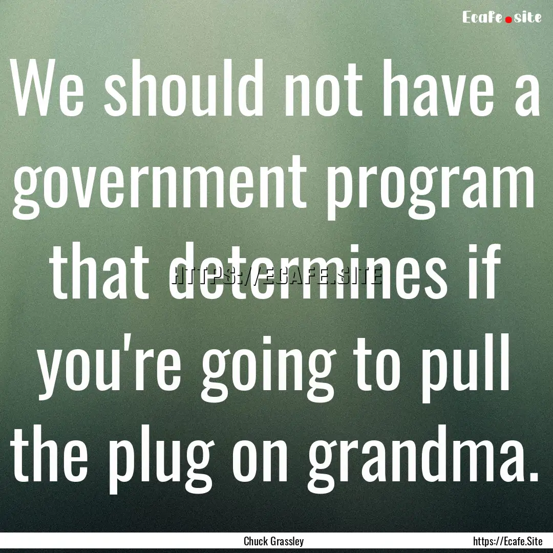 We should not have a government program that.... : Quote by Chuck Grassley