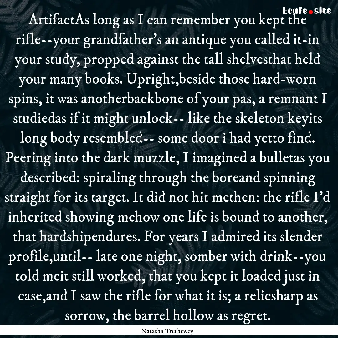 ArtifactAs long as I can remember you kept.... : Quote by Natasha Trethewey