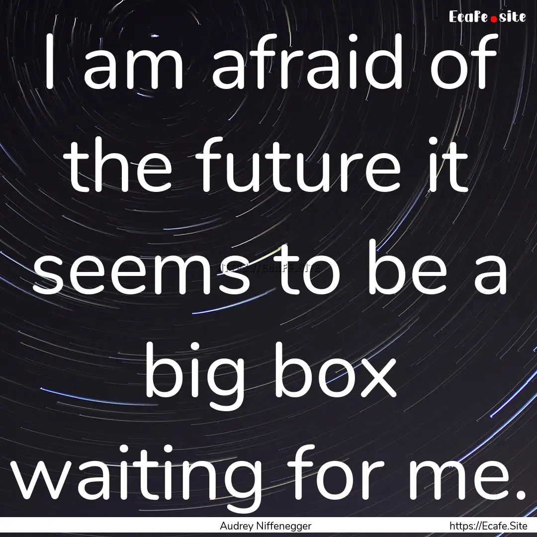 I am afraid of the future it seems to be.... : Quote by Audrey Niffenegger