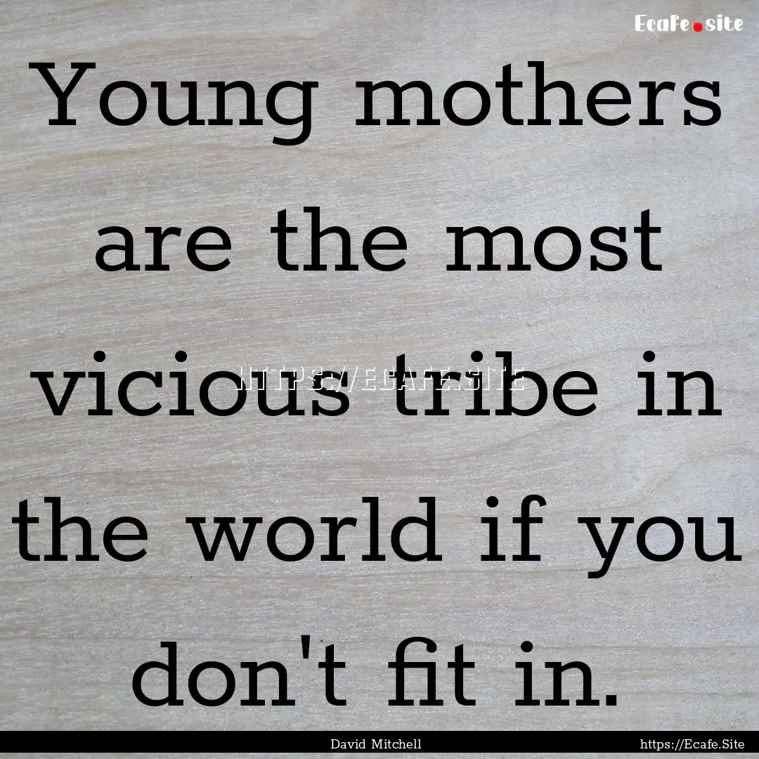 Young mothers are the most vicious tribe.... : Quote by David Mitchell