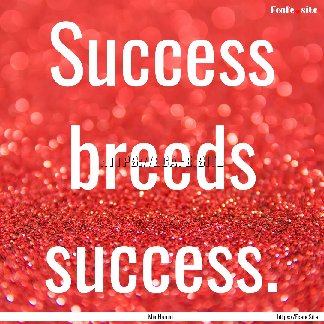 Success breeds success. : Quote by Mia Hamm