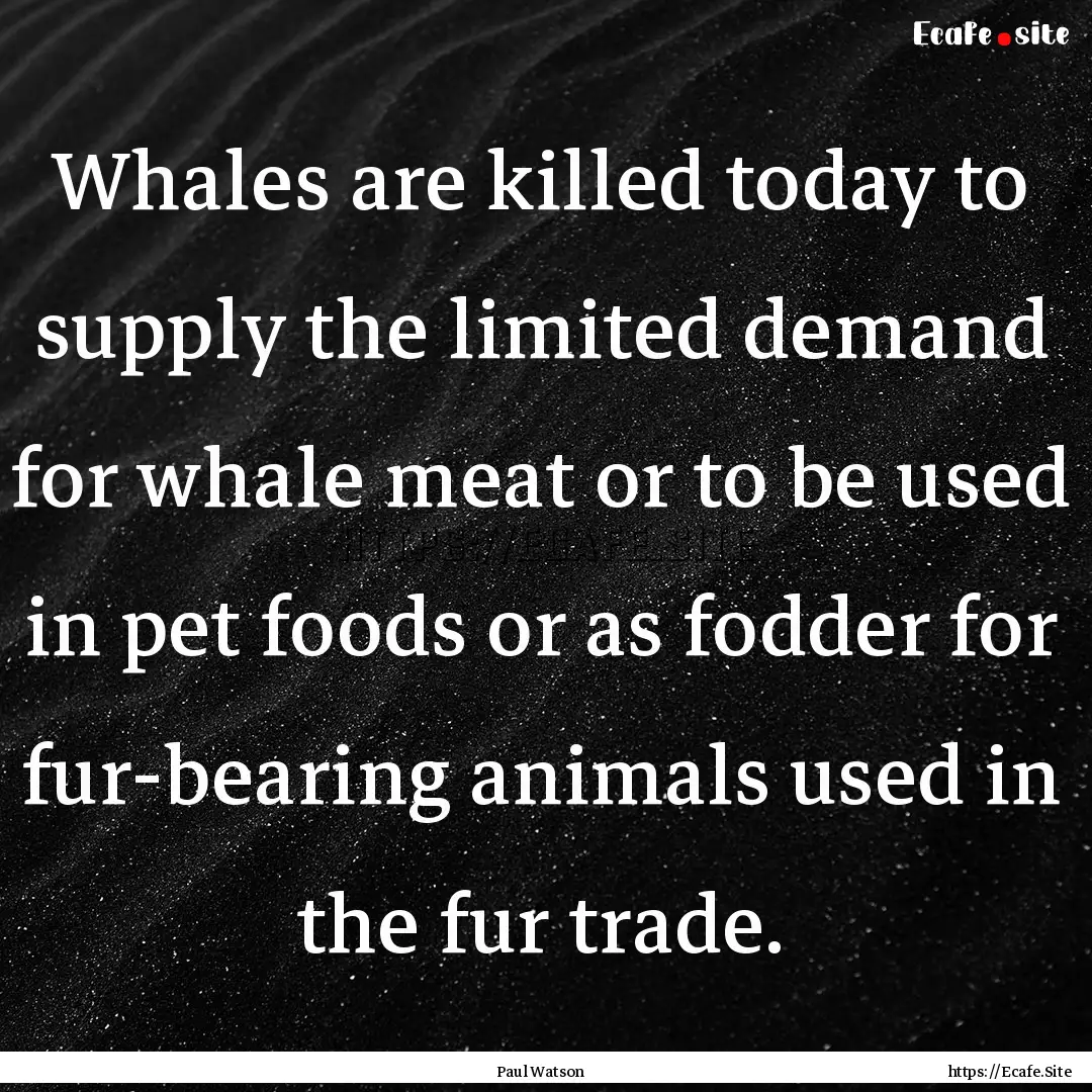 Whales are killed today to supply the limited.... : Quote by Paul Watson