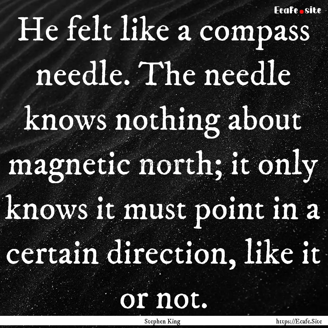 He felt like a compass needle. The needle.... : Quote by Stephen King