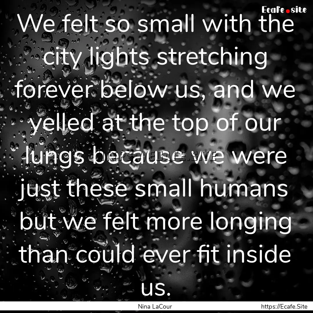 We felt so small with the city lights stretching.... : Quote by Nina LaCour