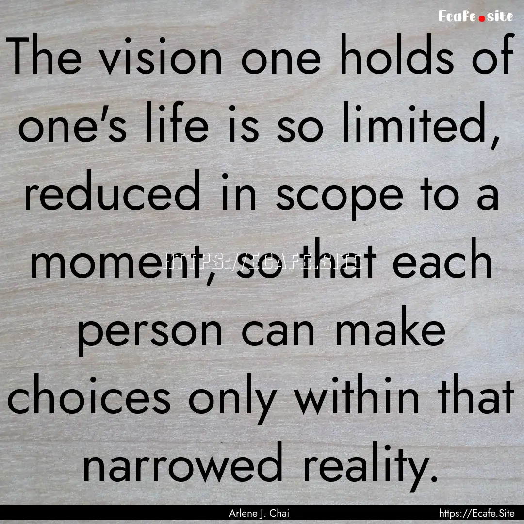 The vision one holds of one's life is so.... : Quote by Arlene J. Chai