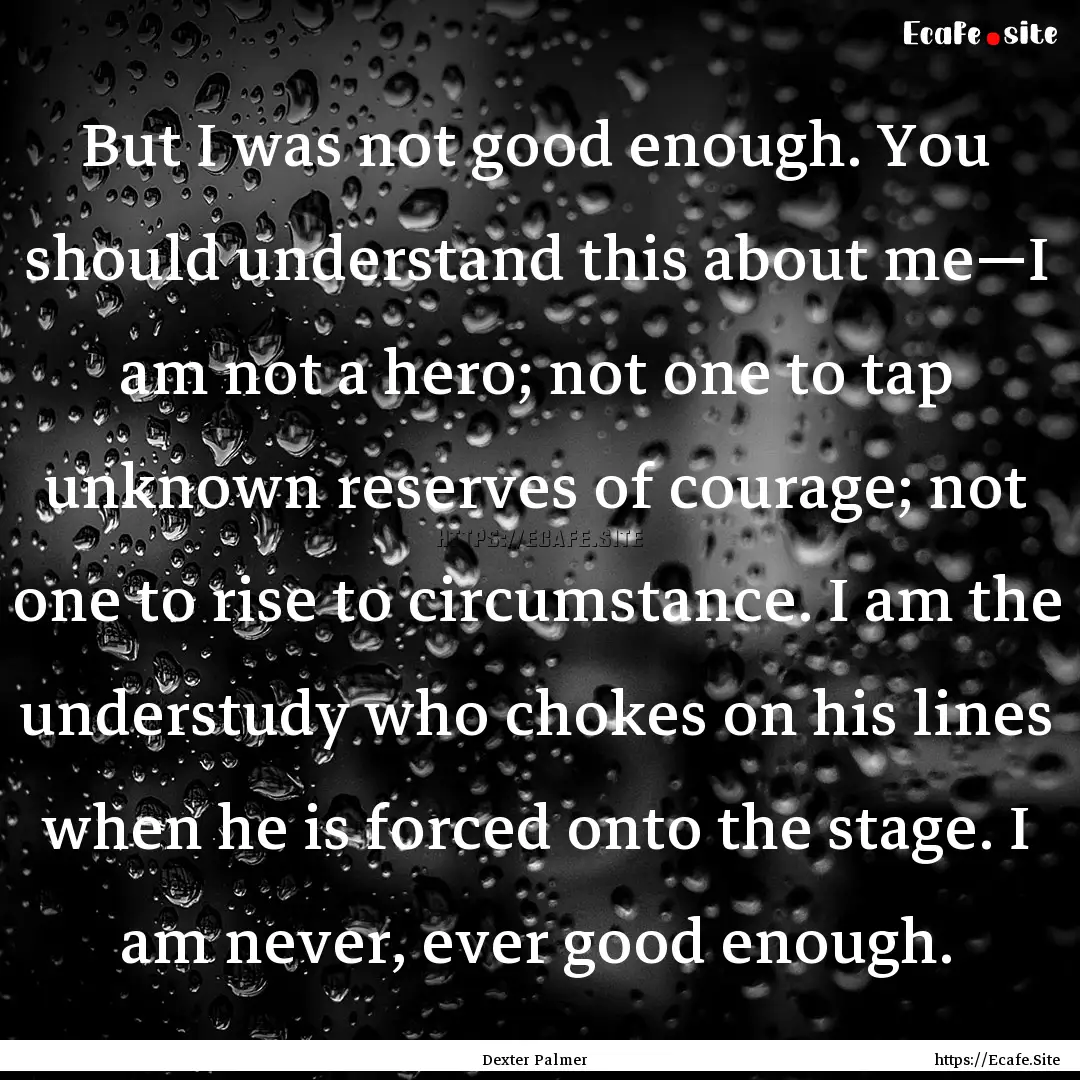 But I was not good enough. You should understand.... : Quote by Dexter Palmer