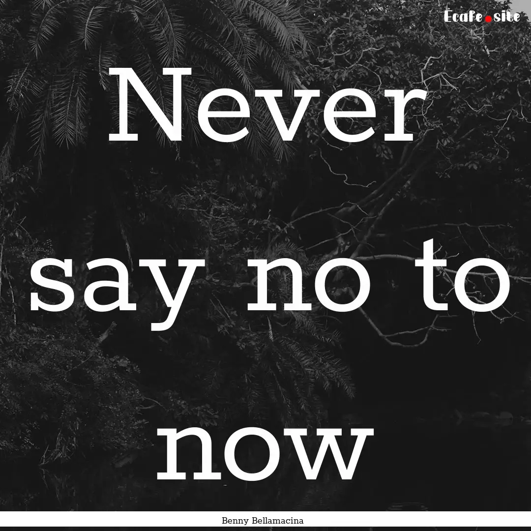 Never say no to now : Quote by Benny Bellamacina