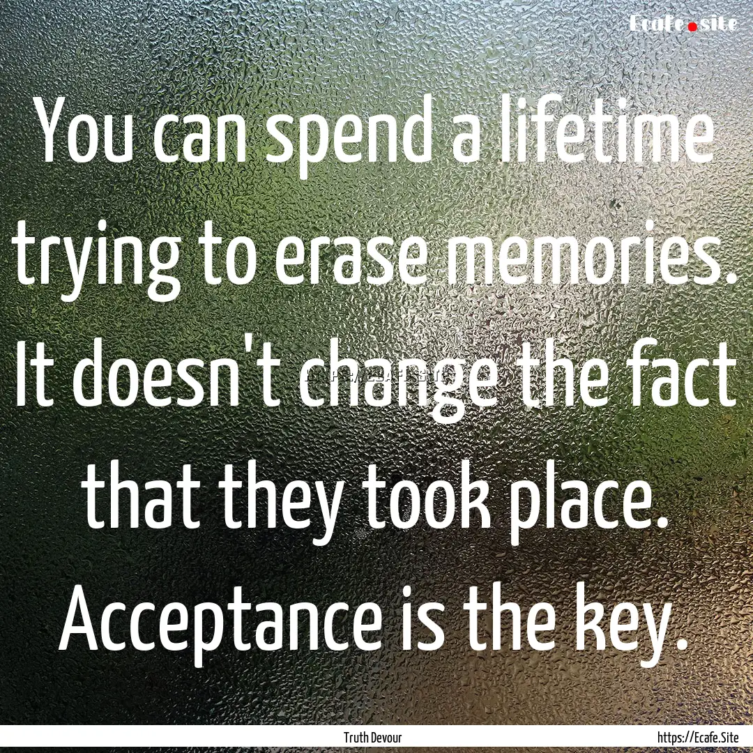 You can spend a lifetime trying to erase.... : Quote by Truth Devour