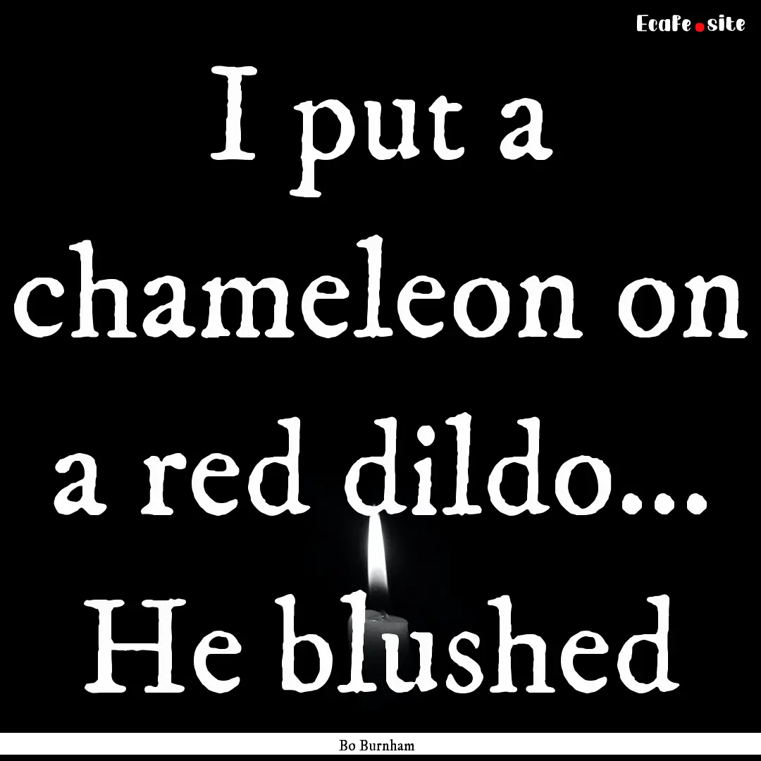 I put a chameleon on a red dildo... He blushed.... : Quote by Bo Burnham