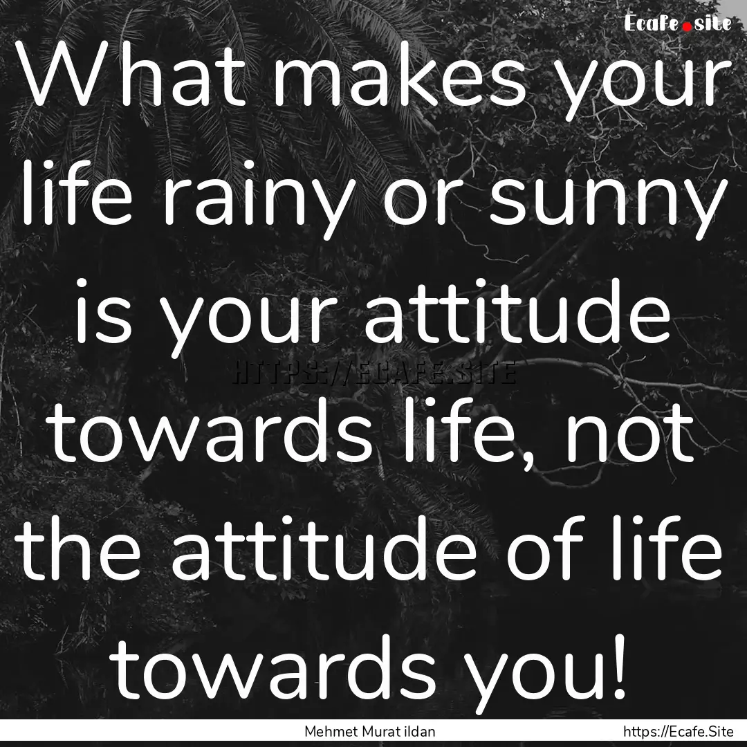 What makes your life rainy or sunny is your.... : Quote by Mehmet Murat ildan