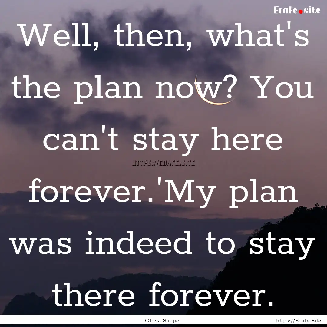 Well, then, what's the plan now? You can't.... : Quote by Olivia Sudjic